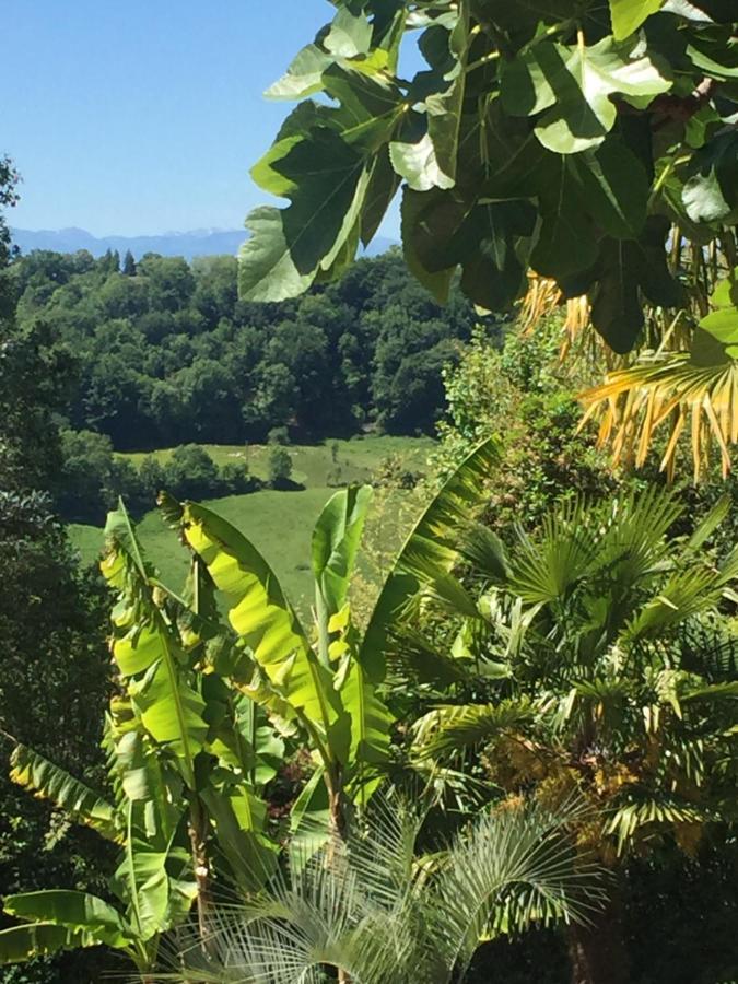 Chambres D'Hotes Coteaux Sud Jurançon Esterno foto