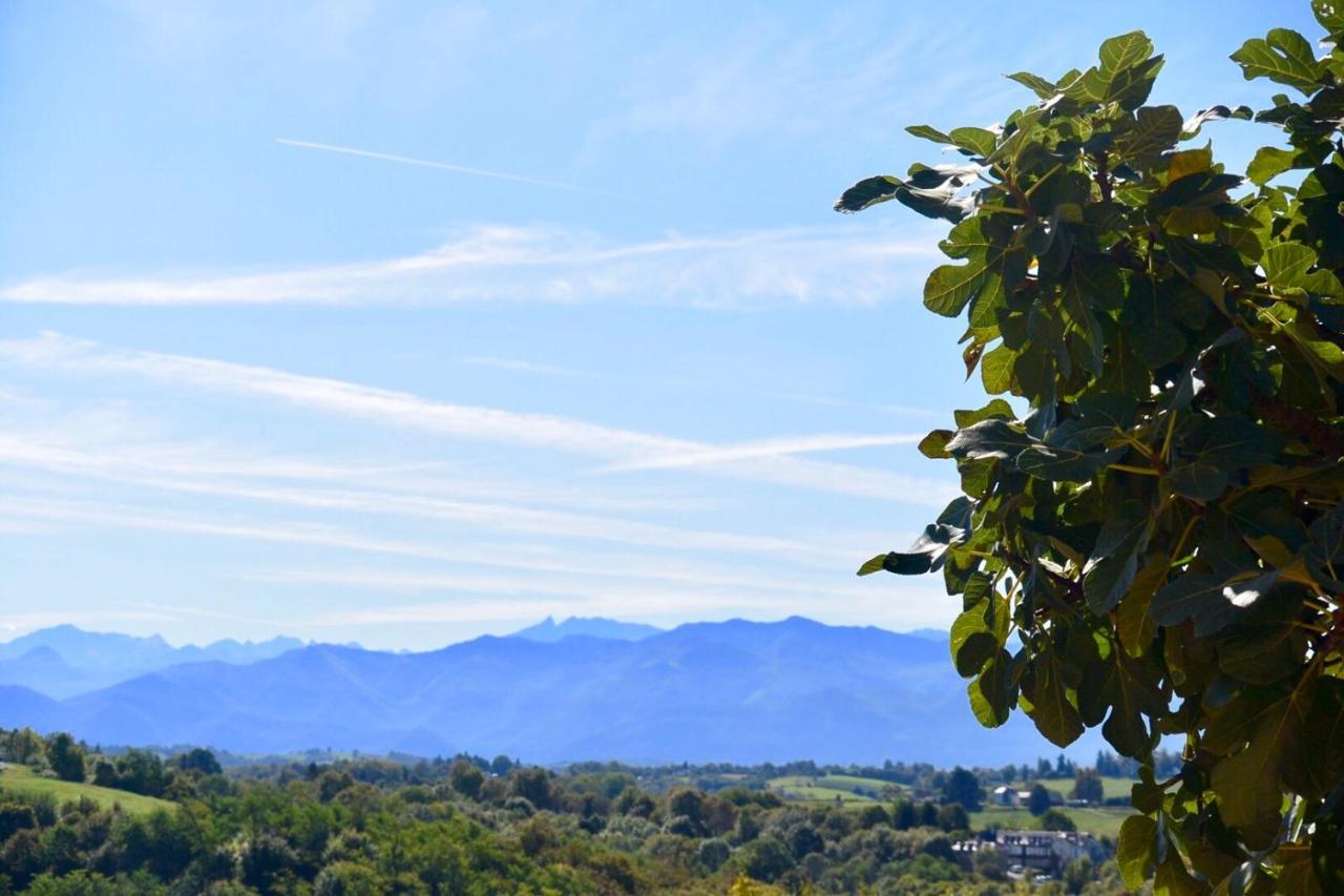 Chambres D'Hotes Coteaux Sud Jurançon Esterno foto